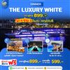  THE LUXURY WHITE  (Pro'899)  